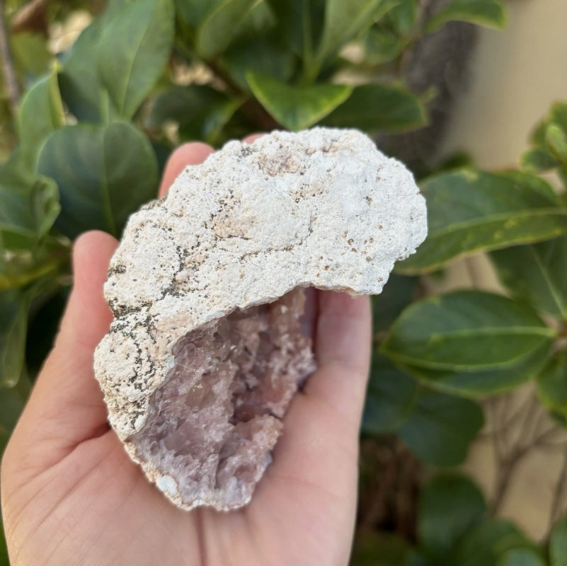 Large Pink Amethyst Semi Geode from Argentina