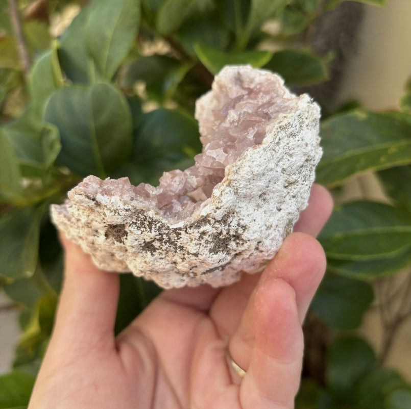 Large Pink Amethyst Semi Geode from Argentina