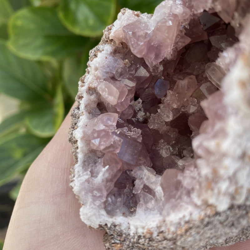 Pink Amethyst Geode from Argentina