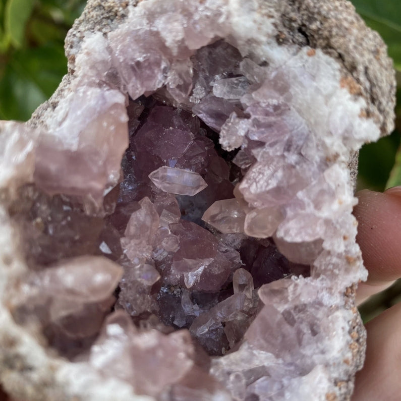 Pink Amethyst Geode from Argentina