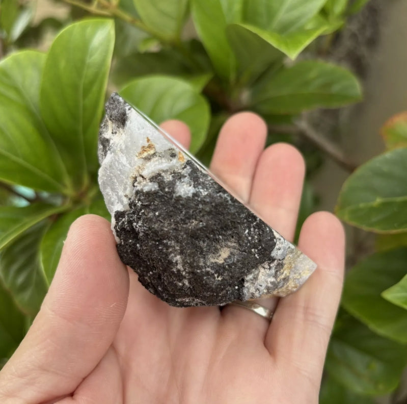 Mexican Crystal Geode – Thunder Egg