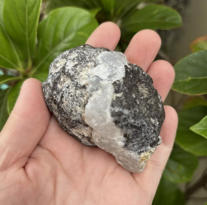 Mexican Crystal Geode – Thunder Egg