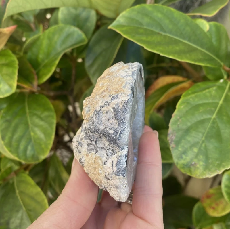 Mexican Quartz Geodes