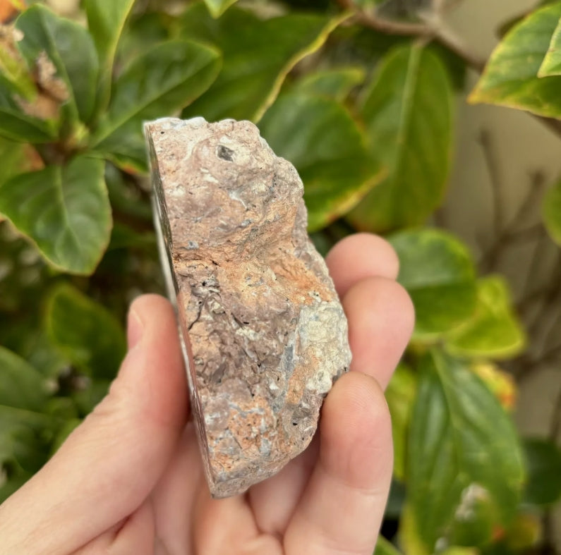 Mexican Crystal Geode
