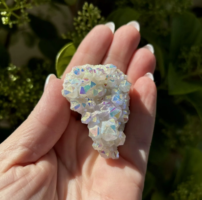 Angel Aura Cluster