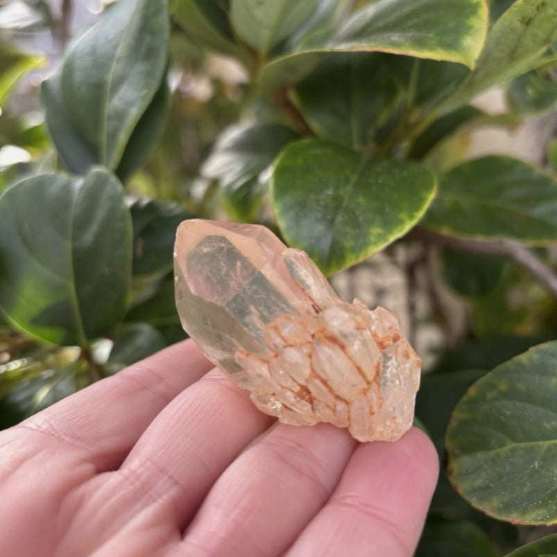 Citrine Point Cluster