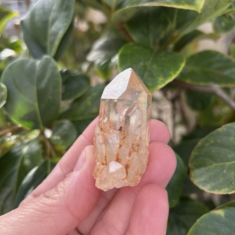 Citrine Point Cluster