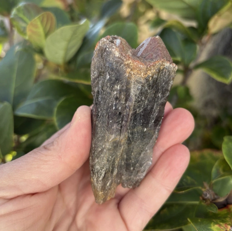 Auralite Crystal Cluster & Red Cap Amethyst Point