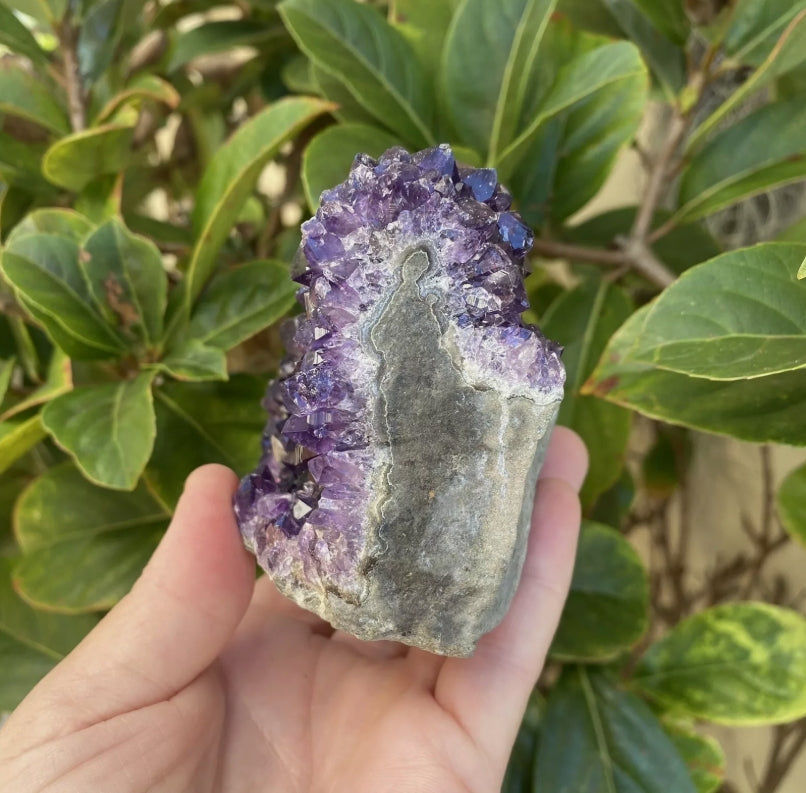 Uruguayan Amethyst Cluster