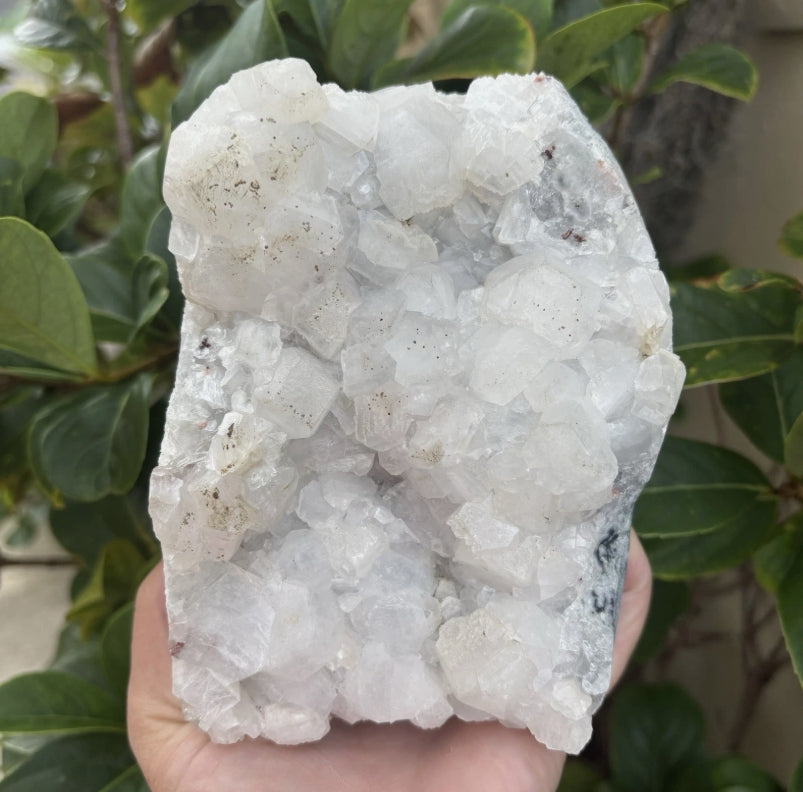 Apophyllite Crystal Cluster
