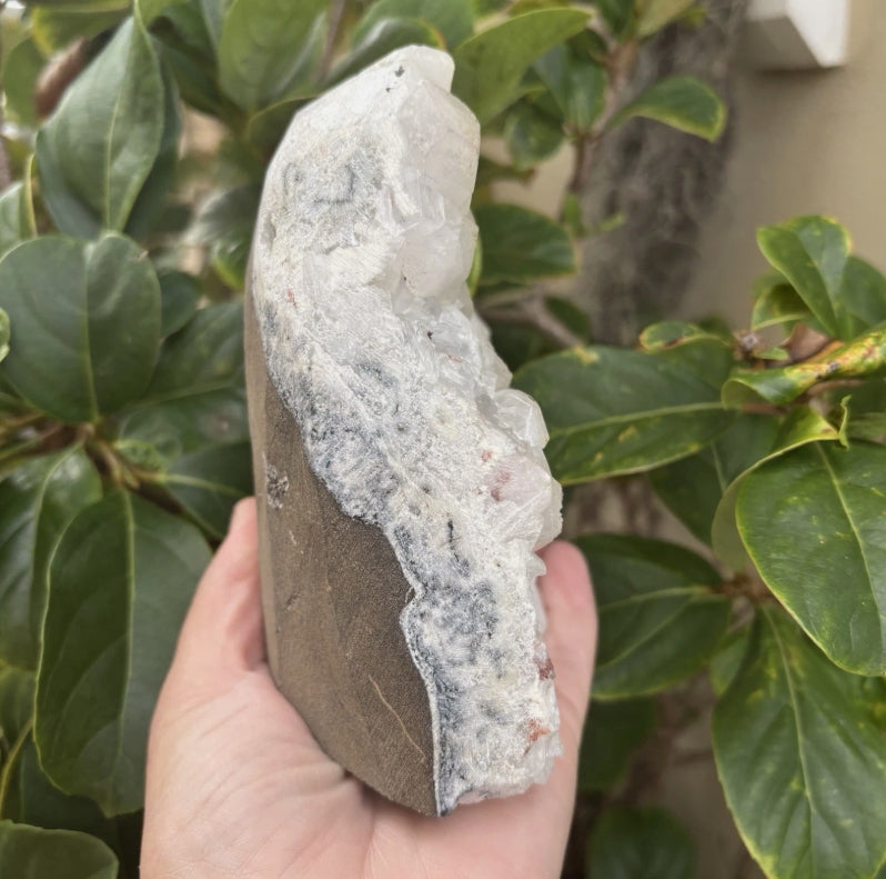 Apophyllite Crystal Cluster