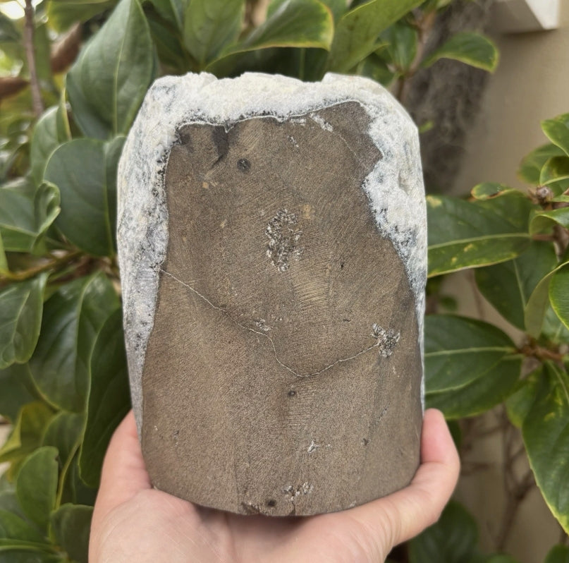 Apophyllite Crystal Cluster