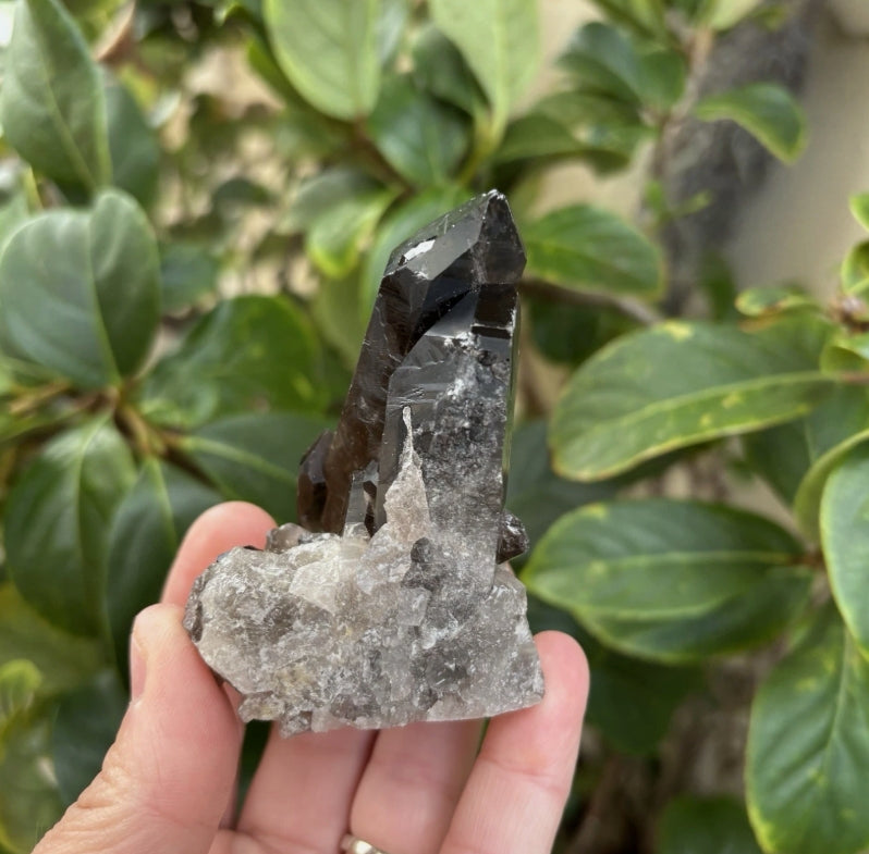Brazilian Smoky Quartz Cluster
