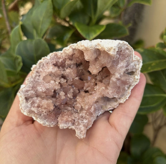 Large Pink Amethyst Semi Geode from Argentina
