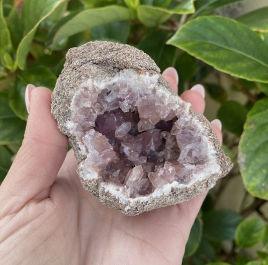 Pink Amethyst Geode from Argentina