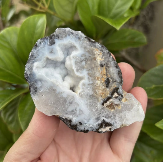 Mexican Crystal Geode – Thunder Egg