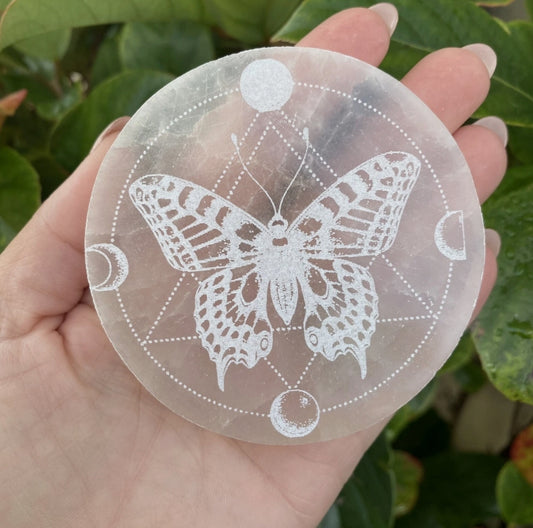 Wings of Renewal