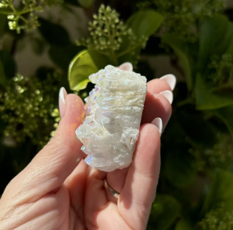 Angel Aura Cluster