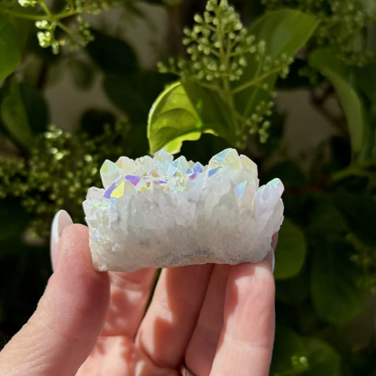 Angel Aura Cluster
