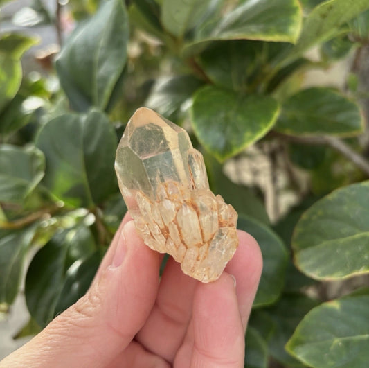 Citrine Point Cluster