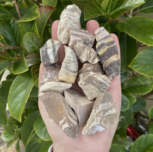 Zebra Jasper Crystals – 250g Bulk
