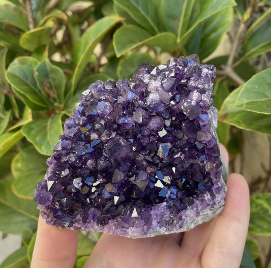 Uruguayan Amethyst Cluster