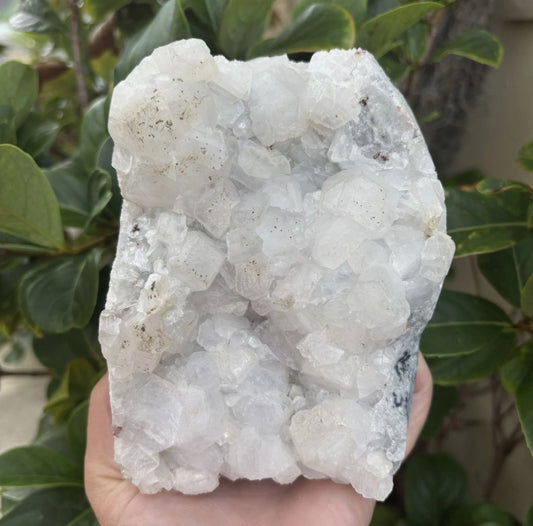 Apophyllite Crystal Cluster