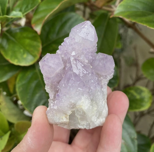 African Spirit Quartz / Amethyst